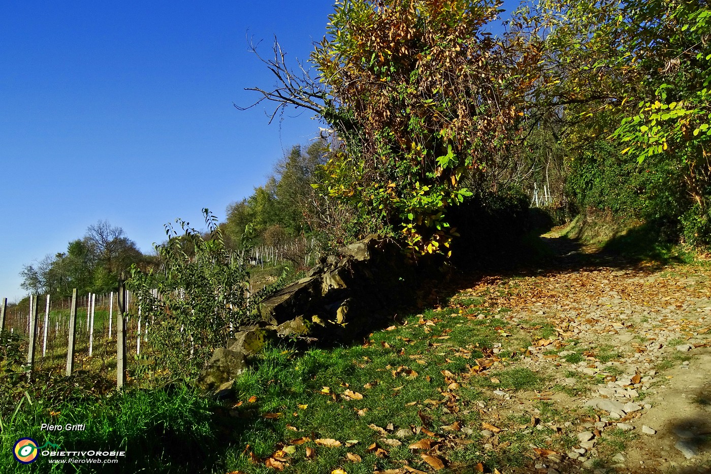 22 Il sentiero 891  entra nel bosco.JPG -                                